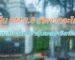 ฝุ่น pm 2.5 เกิดจากอะไร